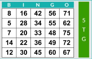 Bingo-75-kaart
