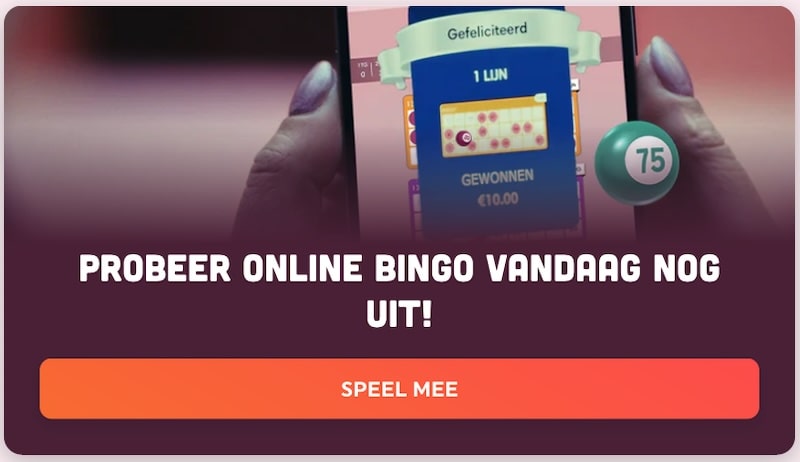 bingo-demo-spellen