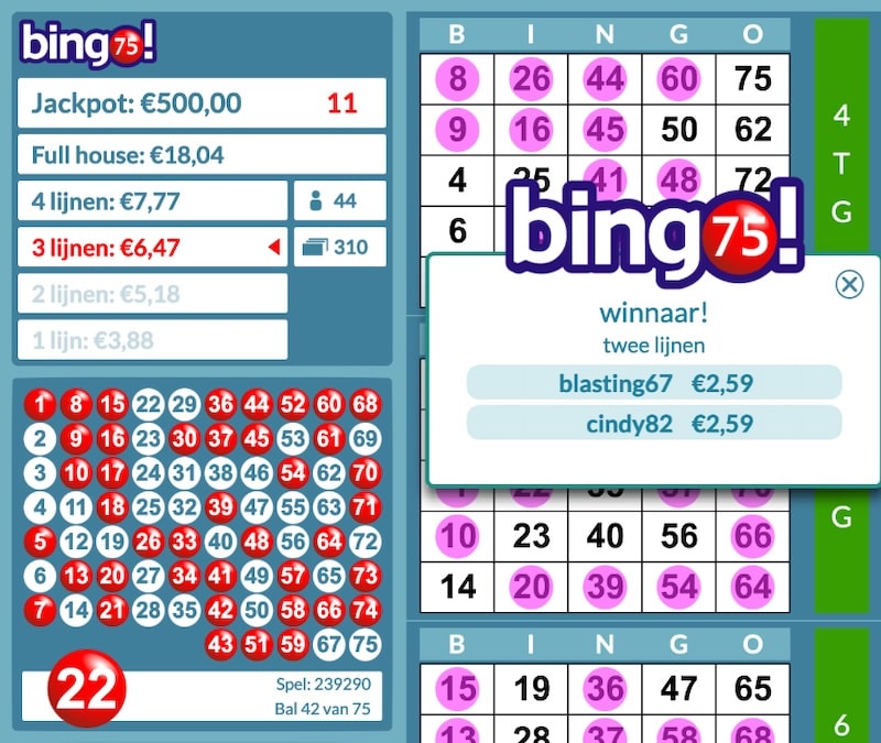 bingo-75-spel