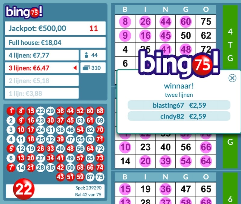 tombola-bingo-75-spel