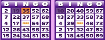 Holland-Casino-75-ball-bingo