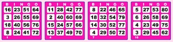Holland-Casino-80-ball-bingo