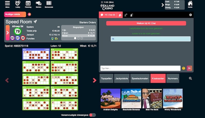 Online-bingo-holland-casino