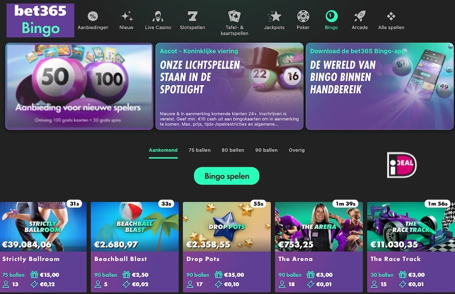 bet365-bingo-casino