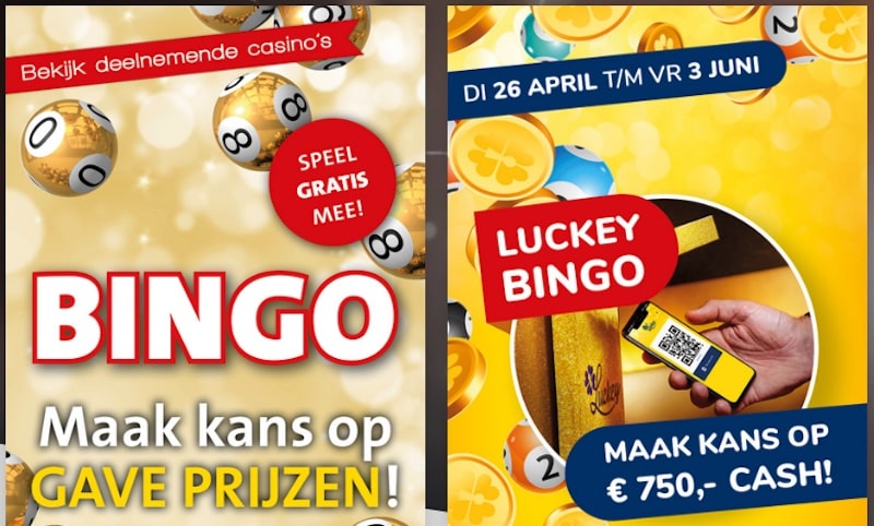 Live-bingo-jacks-casino