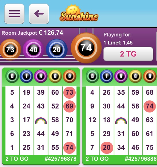 Speel-online-bingo