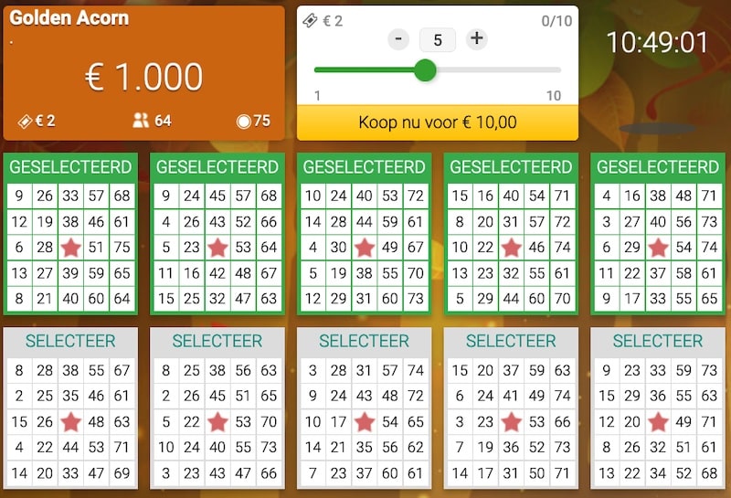 bingoroom met jackpot