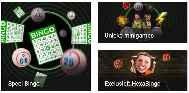 bingo voor beginers