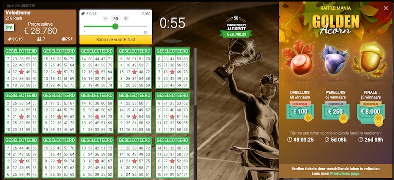 live bingo rooms