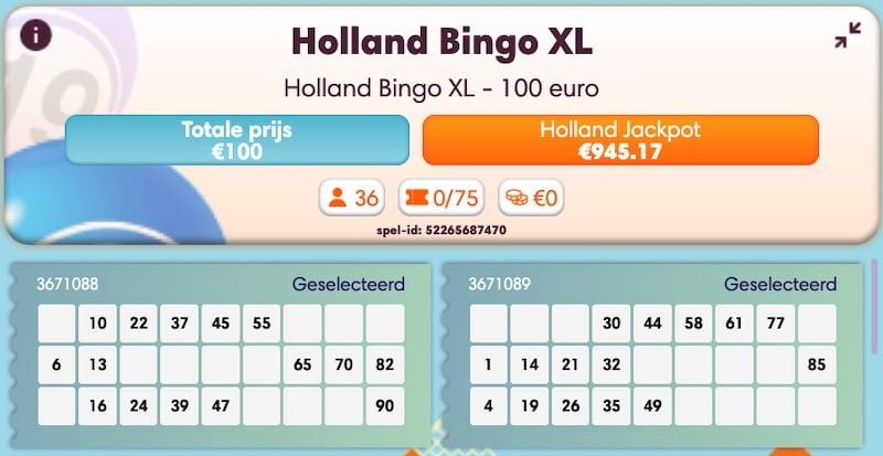 nederlandse-bingo-rooms-winnitt