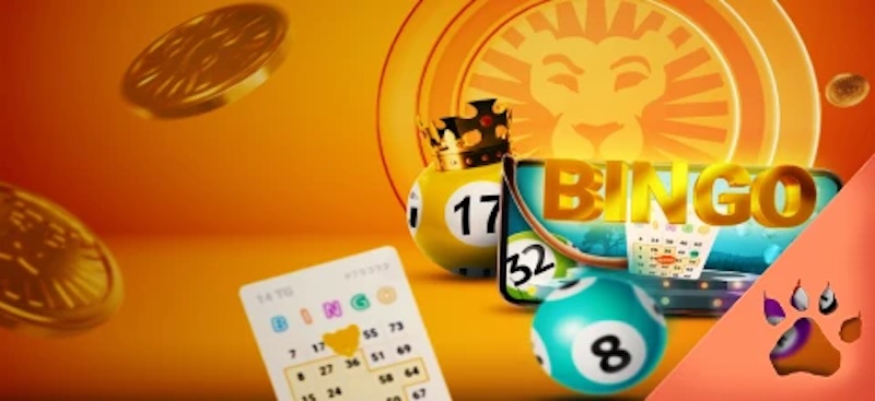 nieuwe-bingo-site-leovegas