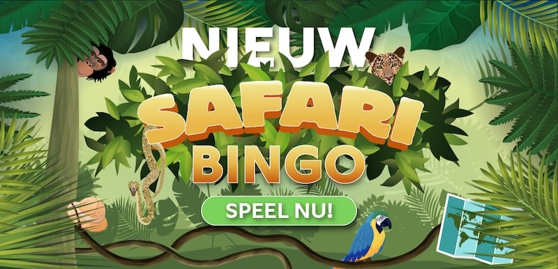safari-bingo