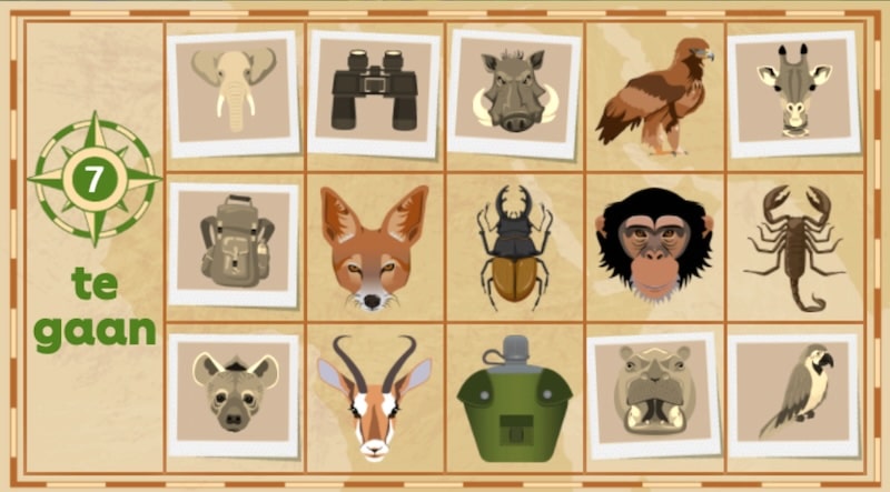 safari-bingokaart